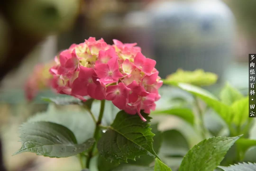 推开世界的门和自己和解,推开世界的门你所看到的风景