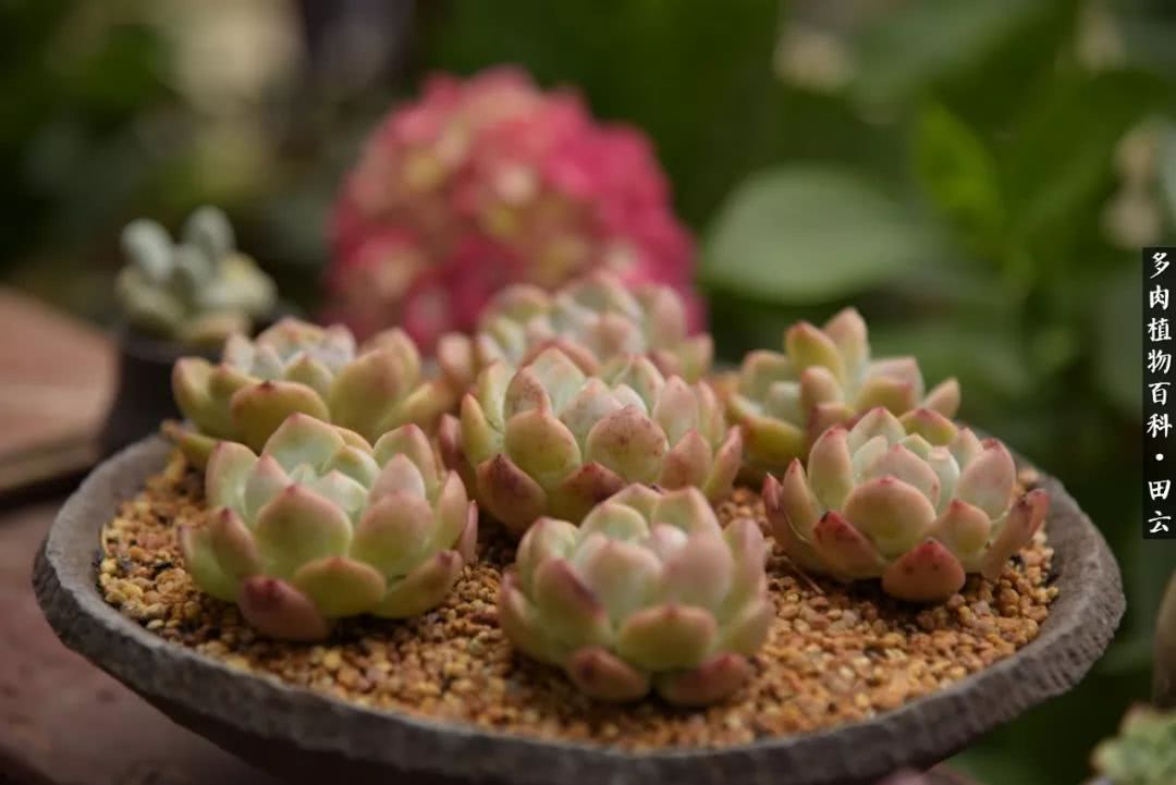 推开世界的门和自己和解,推开世界的门你所看到的风景