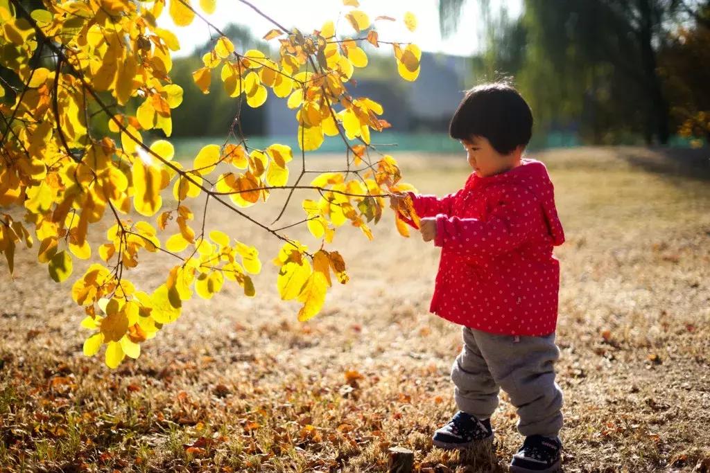 索尼黑卡数码相机dsc-rx100m6,索尼黑卡6dsc-rx100m6数码相机