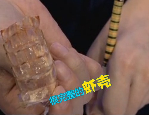 如何快速剥离皮皮虾,剥离皮皮虾肉