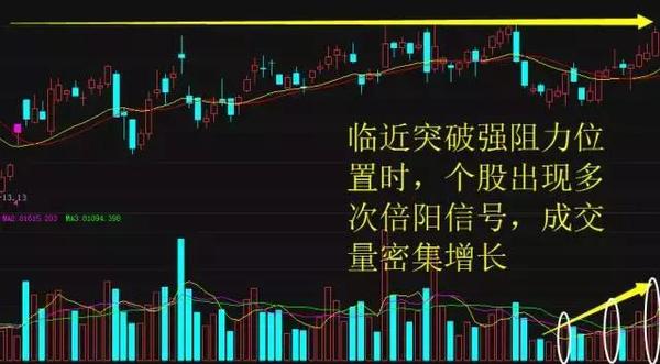 上海顶级股票操盘手,上海黑马操盘手