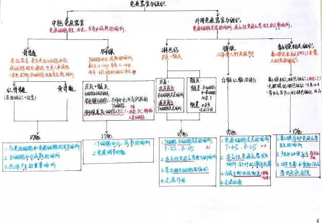 学霸笔记经典语录励志,学霸的笔记是真的吗