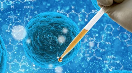 足球饕餮盛宴,世界杯足球冲突名场面