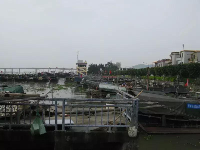 番禺区村级篮球赛,广州市番禺区业余篮球比赛