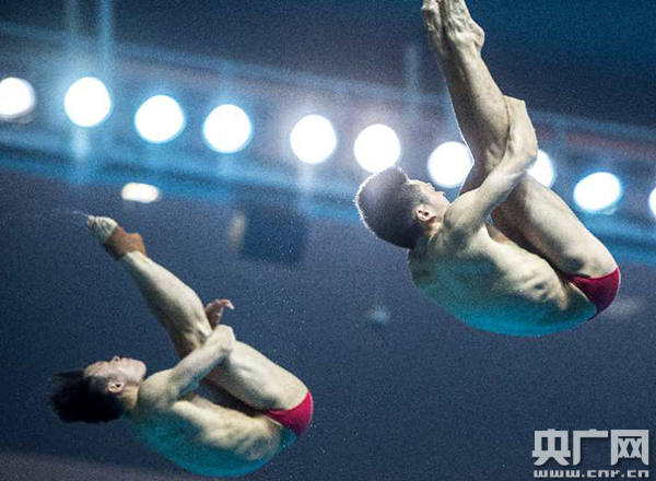 跳水中国队包揽金牌,跳水世界锦标赛中国队参赛名单