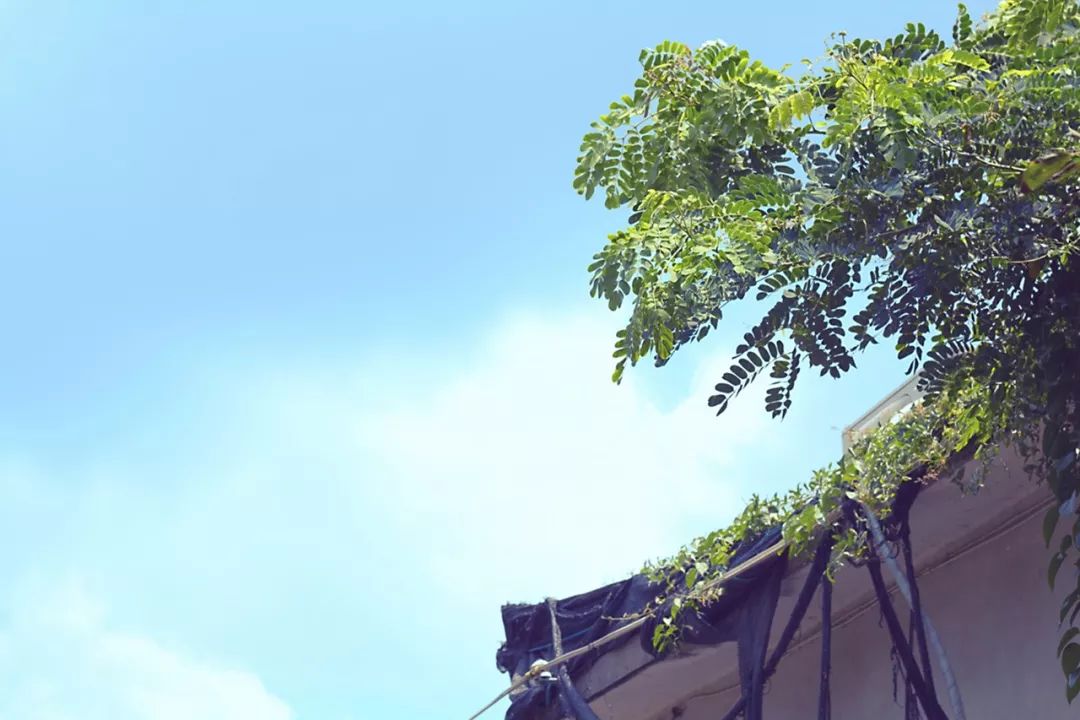 这个夏天我们再邂逅一次厦门吧,这个夏天想跟你再去一次厦门