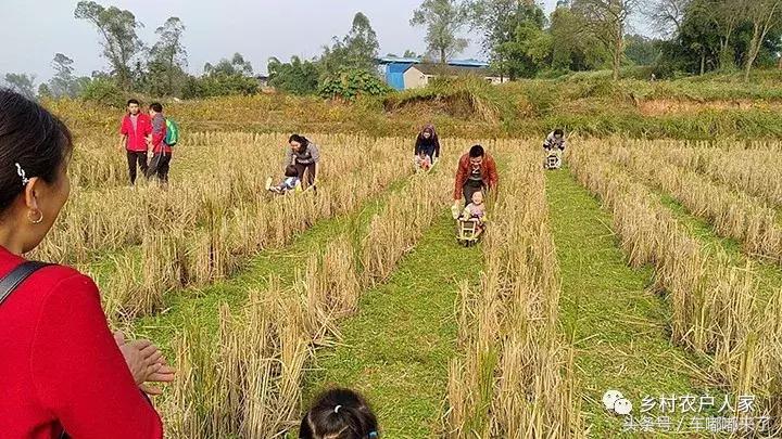 这个月去长寿泥地足球、赏百亩向日葵花海、划竹筏/皮船