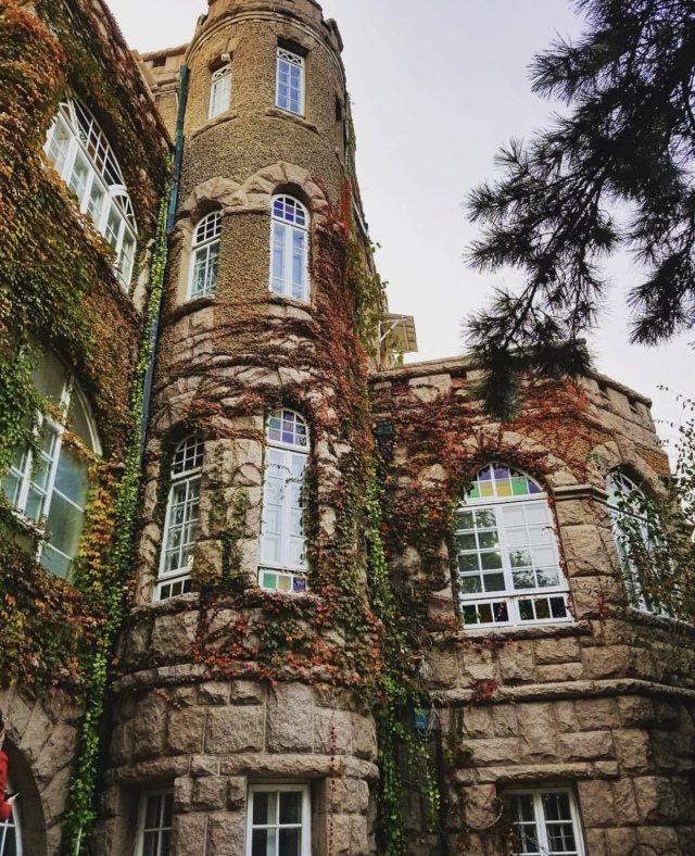 晚上在青岛吹着海风吃海鲜,青岛吹着海风吃着烧烤