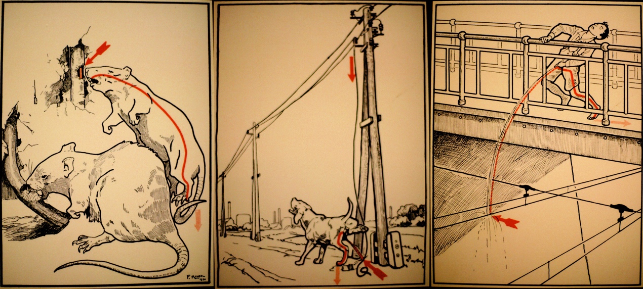 暴雨雷电天气个人如何防护,暴雨天气预防雷击安全知识