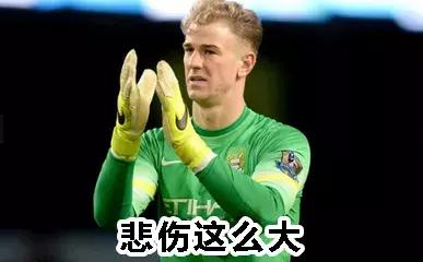 三狮和三猫谁厉害,英格兰足球三狮军团三喵