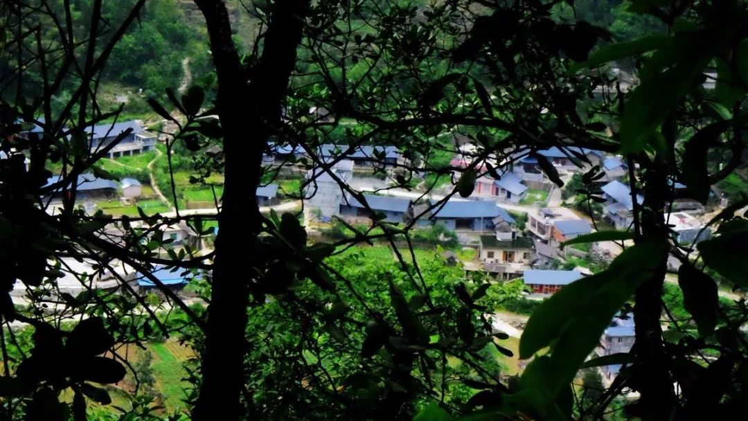 兴隆原始森林在哪,兴隆原始森林