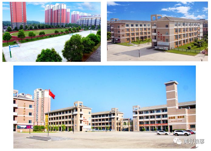 小学校园文化建设的建议和意见,小学校园文化建设专题研究