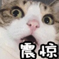 o型血为什么那么招引蚊子,o型血招蚊子咬是真的吗