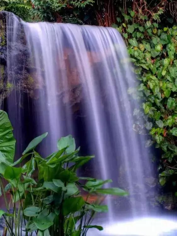 14张会动的照片,会动的照片大全大图