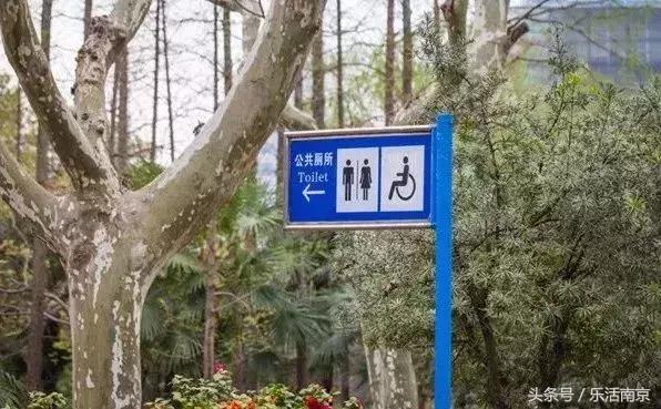 南京今年的大事,最近南京有何重大活动