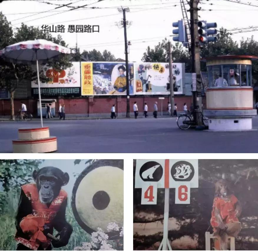 几十年前的国产3d电影,国产3d电影排行榜前十名