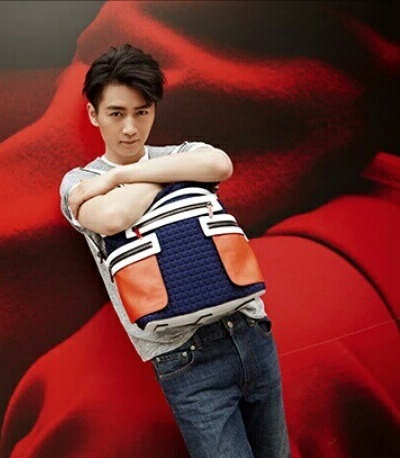 鹿晗世界杯足球赛,世界杯鹿晗