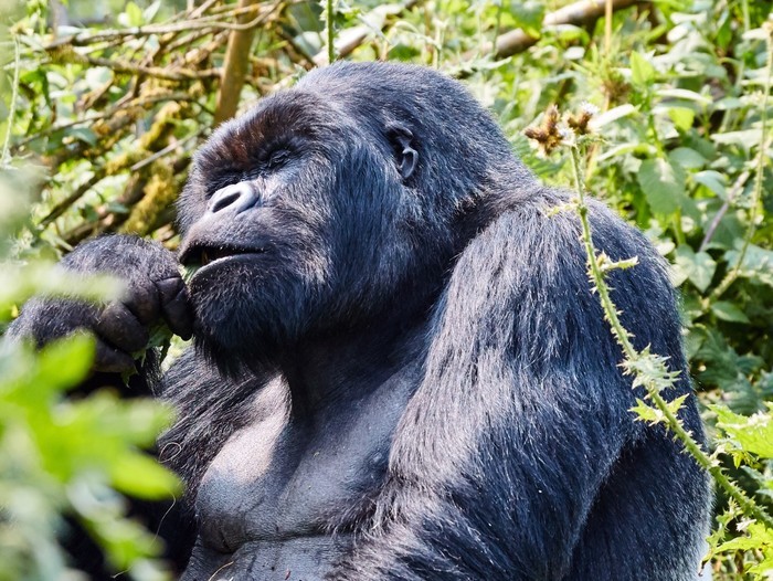 世界上最便宜的公园门票,世界上最好玩的公园门票又便宜