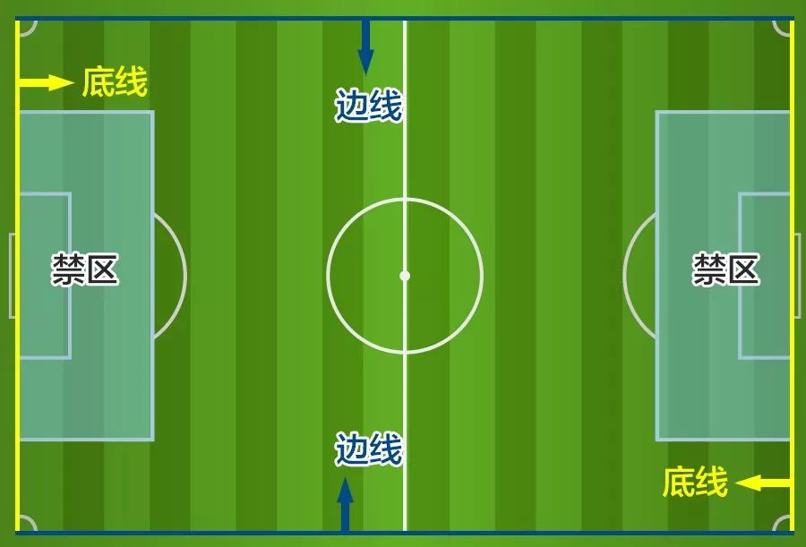 老司机传授打篮球知识,一分钟看懂球的方法
