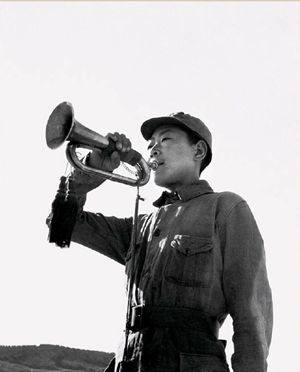 涨知识的号,涨知识各国步枪