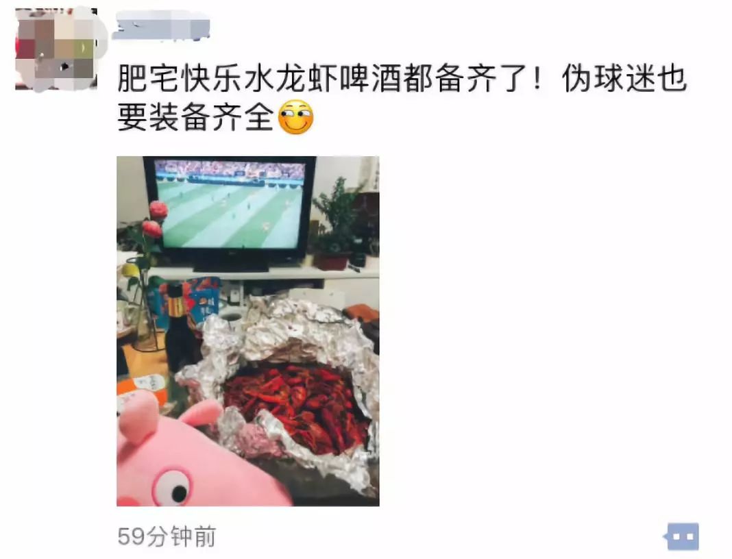 世界杯解说员白岩松,世界杯央视解说惹争议