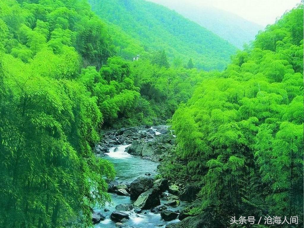 卧虎藏龙背景音乐古典音乐,卧虎藏龙竹林背景音乐