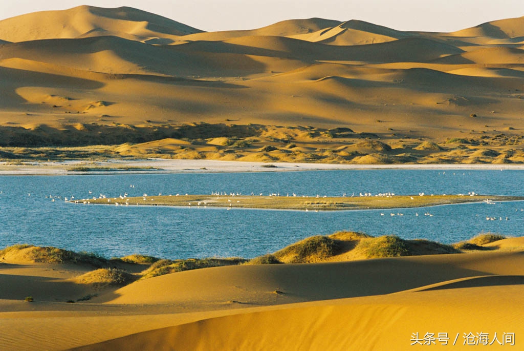 卧虎藏龙背景音乐古典音乐,卧虎藏龙竹林背景音乐
