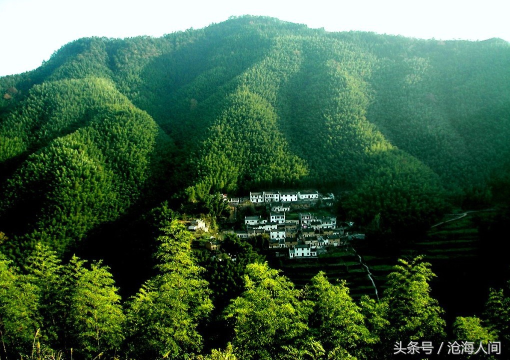 卧虎藏龙背景音乐古典音乐,卧虎藏龙竹林背景音乐