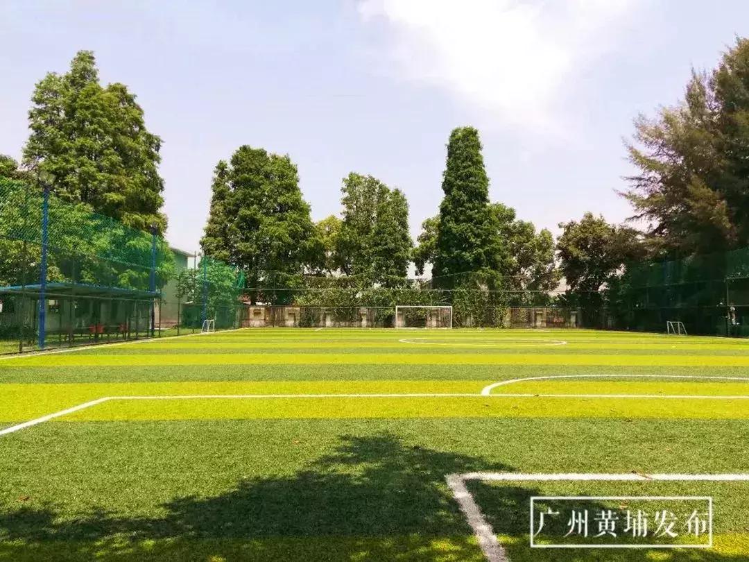世界杯最好的足球场,中国的世界杯足球场在哪里