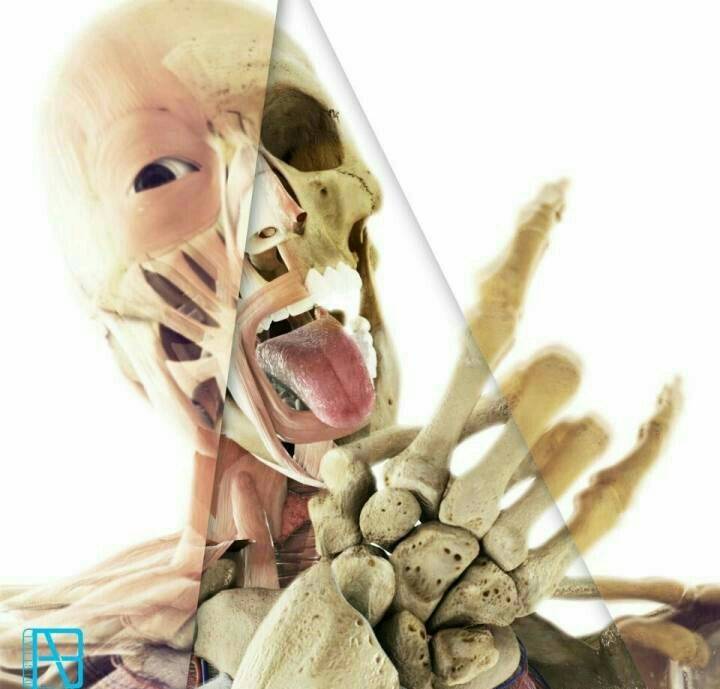 有个当医生的老公什么感觉,家有个骨科医生爸爸有什么体验