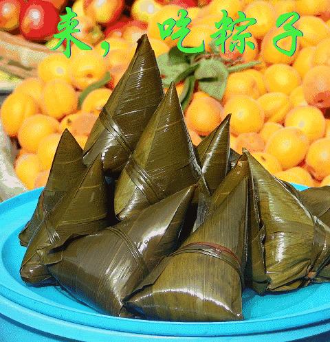 端午节问候网红视频,端午节问候视频