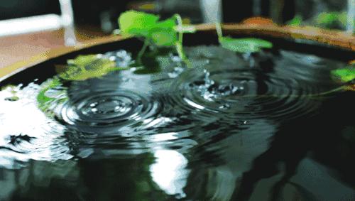 诗词中不一样的雨,诗词中的十三种雨