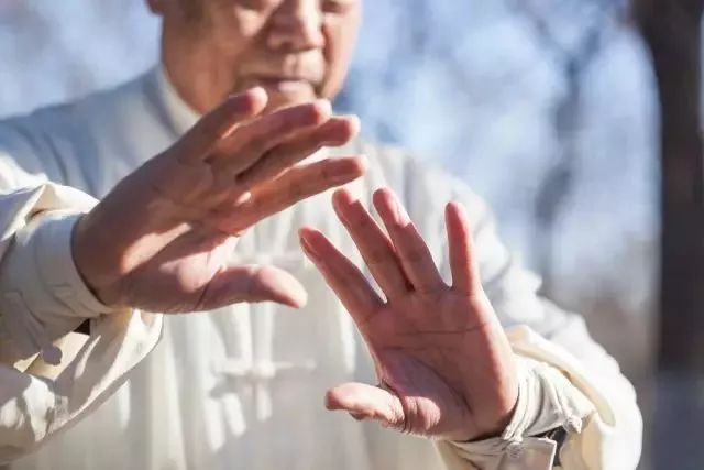 太极大师谈气,太极名师谈真谛