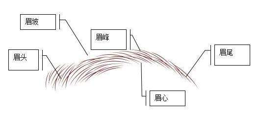 女人晚年下巴破相相学,相学中破相有什么说法