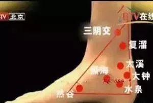 人体九大系统对应的器官,人体黄金三角区是什么