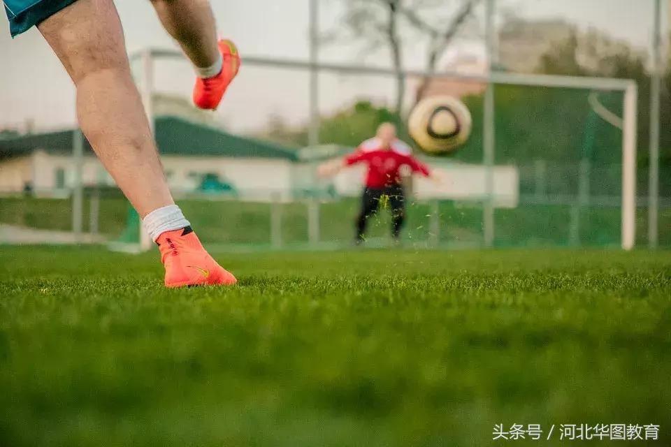 世界杯必备十大常识,世界杯必备知识大全