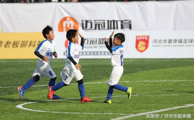 青训足球观察,足球青训观察完整视频