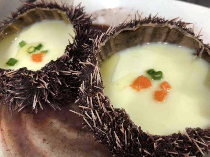 小铁蛋小视频,小铁牺牲了