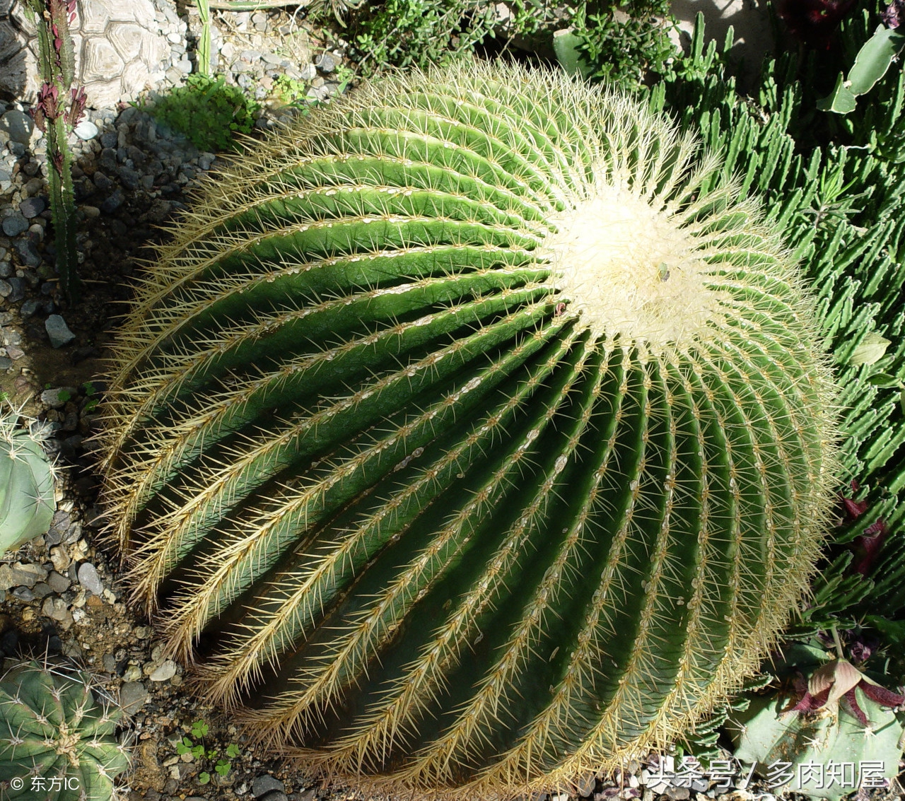 世界杯有看头的比赛,世界杯精彩足球