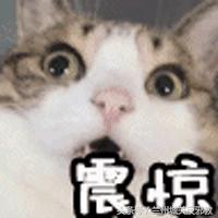 骑个共享单车，竟让她染上了难以启齿的病！真相是……