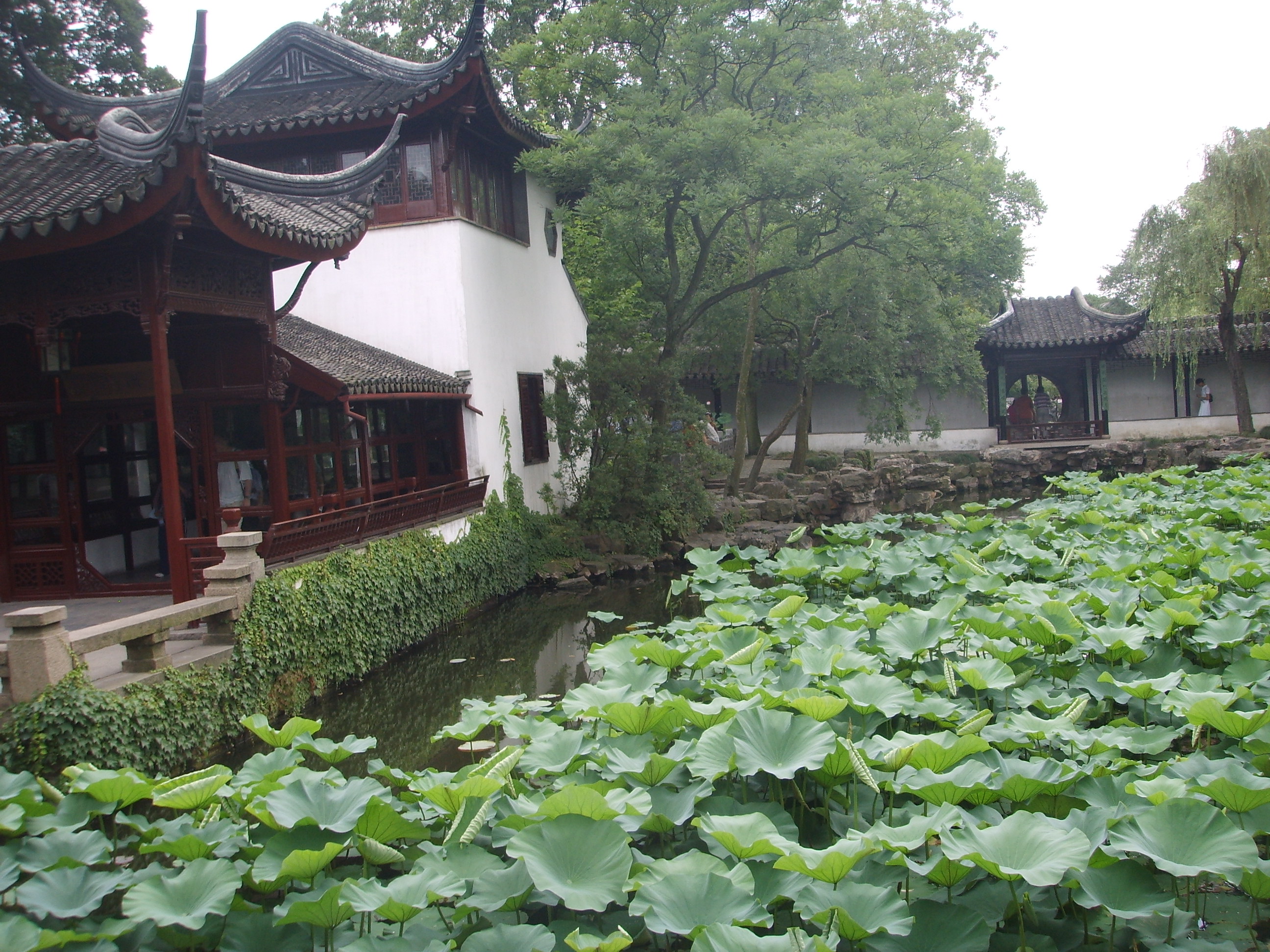 苏州园林的精品拙政园,苏州园林的拙政园故事