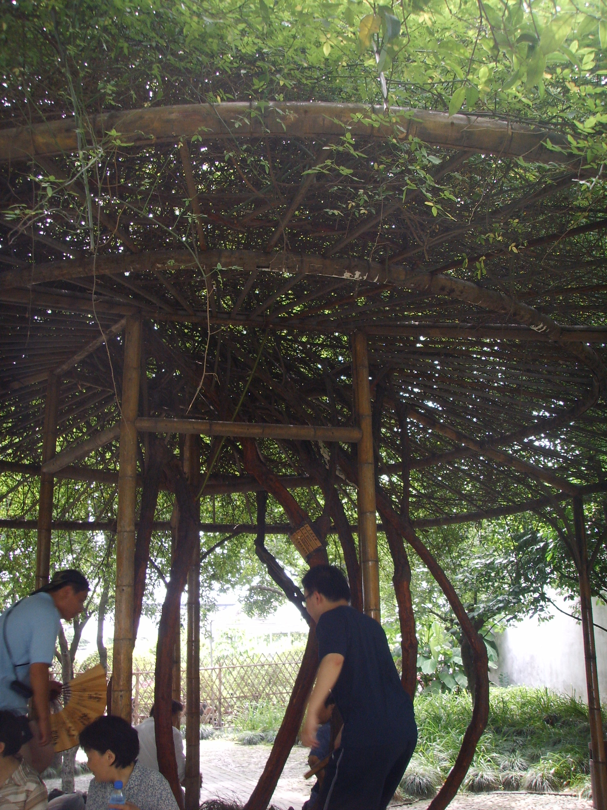 苏州园林的精品拙政园,苏州园林的拙政园故事