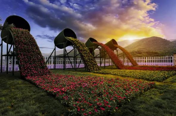 鹿泉春天去哪看花海,鹿泉区花海