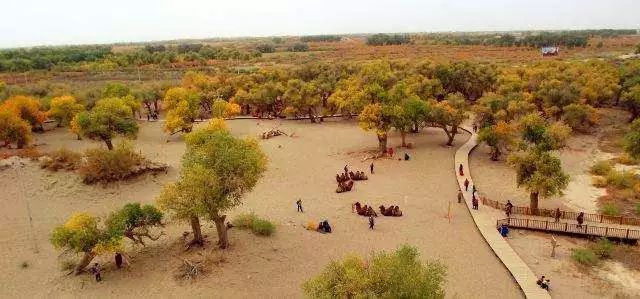 北京出发坐火车沿途风景好的线路,北京至内蒙古旅游坐什么火车
