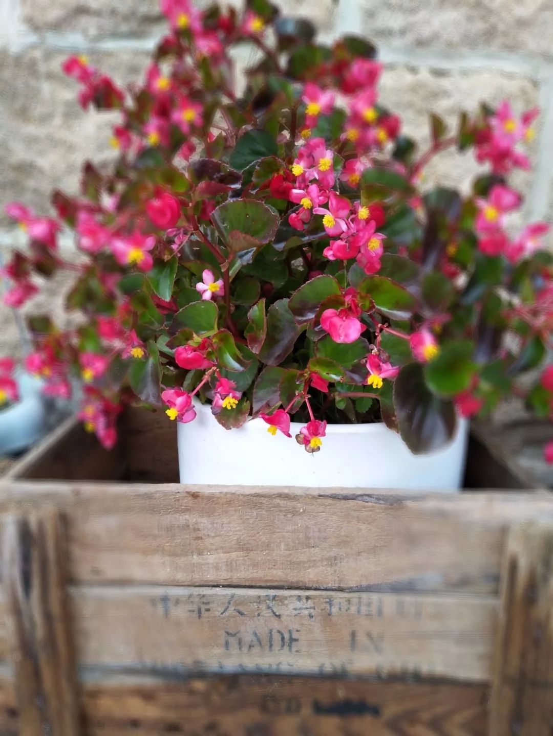 家里摆放混乱废旧物品,家里的这些旧物别急着扔