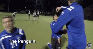 冰岛队的守门员,冰岛守门员