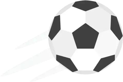 冰岛队的守门员,冰岛守门员