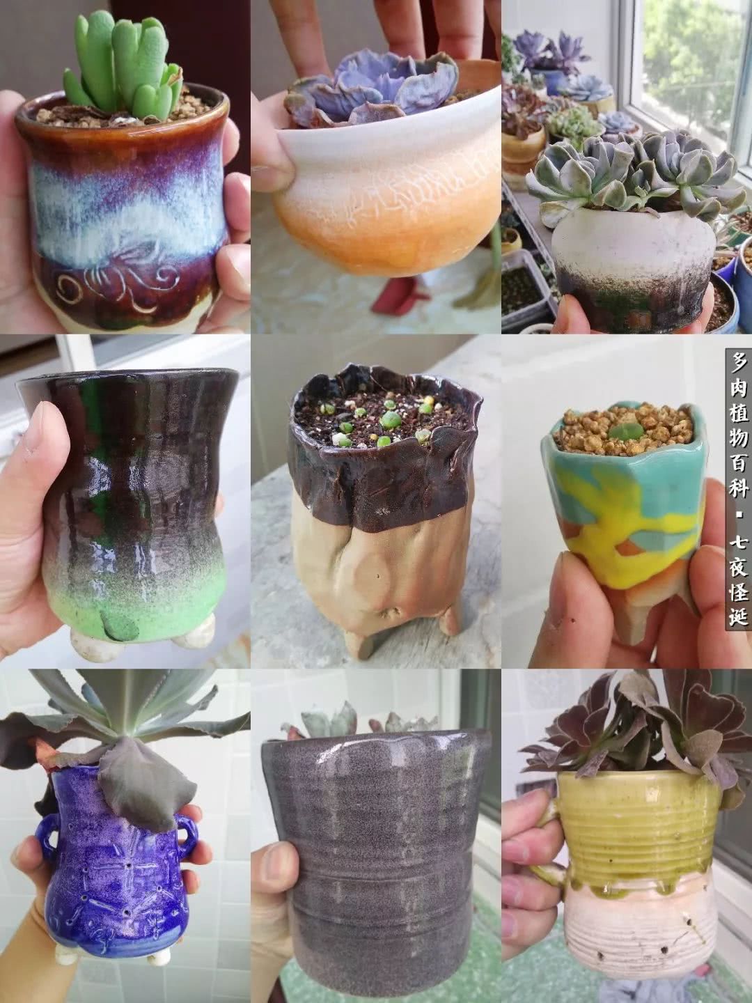 怎样做多肉盆手工,在家怎么制作多肉盆