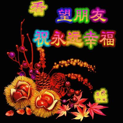 描写枫林诗苑的诗句,枫林诗苑对联大全