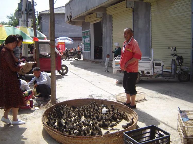 热闹的农村小院,八十年代农村集市